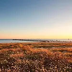 - 4 Pers. Foret Proche * Saint-Jean-de-Monts