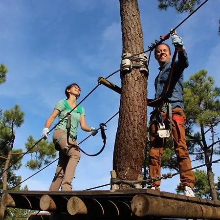 - 4 Pers. Foret Proche Apartment Saint-Jean-de-Monts