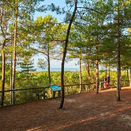 - 4 Pers. Foret Proche
